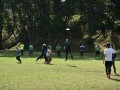 Tn dsc 0595